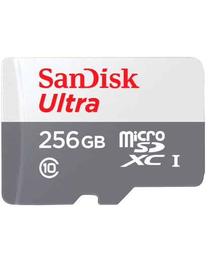SanDisk Ultra microSDXC 256GB 100MB/s Class 10