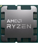 AMD RYZEN 5 7600X TRAY