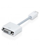 Apple Mini DVI to DVI Adapter